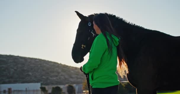 Beauty Equine Companionship Woman Walking Bonding Horse Ranch Illustrating Love — Stock Video