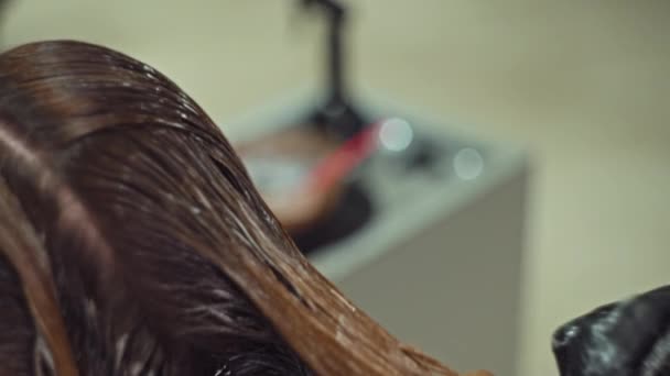 Transformação Beleza Ação Close Hair Colorists Expert Hands Aplicando Tintura — Vídeo de Stock