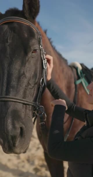 爱的生活方式 骑师女孩穿着外套示爱 在牧场爱抚马 温暖和爱护动物 高质量的4K镜头 — 图库视频影像