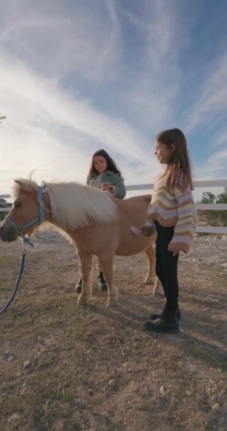 農場動物ボンディング体験 動物と交流する幸せな女の子 牧場で小さな馬を飼う子供たち 高品質の4K映像 — ストック動画