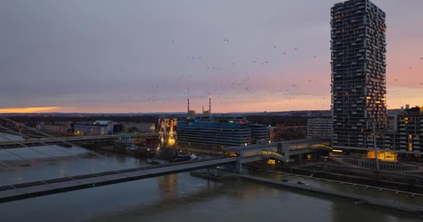 Nächtliches Luftbild Von Wien Österreich Faszinierendes Stadtbild Mit Leuchtenden Fenstern — Stockvideo