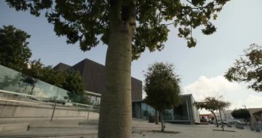 Paphos, Kıbrıs, Cityscape, Beautiful Buildings, Urban Exploration, Turist Şehir Hayatı. Yüksek kalite 4k görüntü