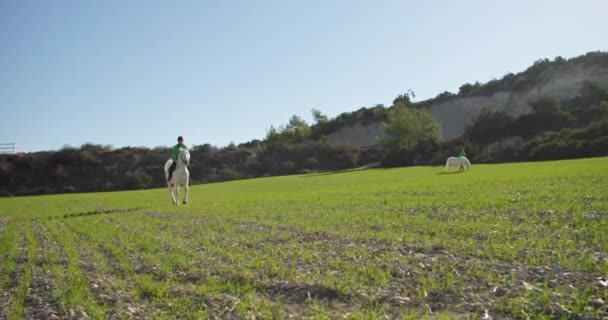 Tranquility Motion Mädchen Reiten Auf Der Ranch Lebensstil Heiterer Ausritte — Stockvideo