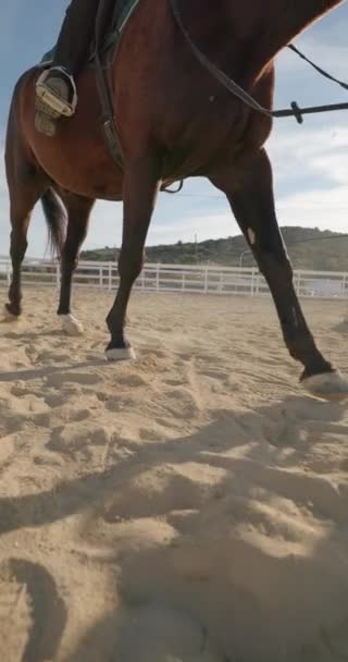 Competition Prep Girl Training Horseback Riding Trainer Ranch Demonstrating Lifestyle — Vídeos de Stock