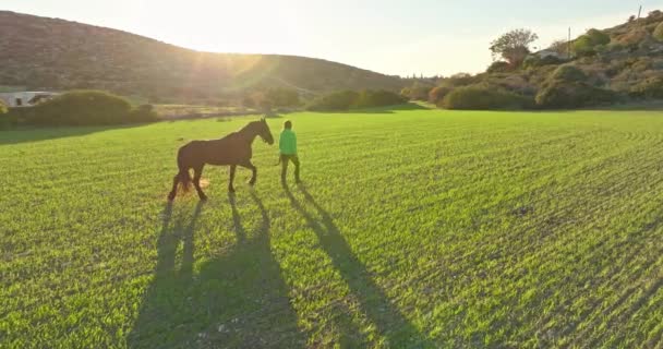 Tranquil Ranch Walk Strzał Powietrza Kobiety Wiodącej Konia Przez Zielone — Wideo stockowe
