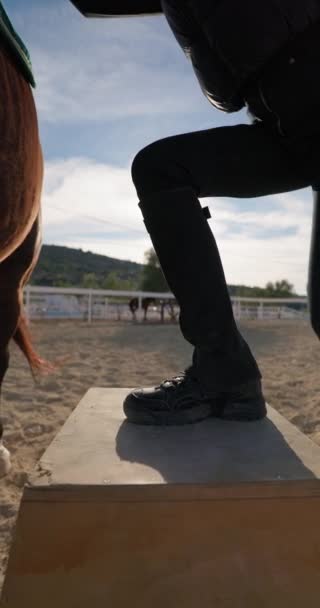 Girl Jockey Sits Horse Training Preparation Horse Races High Quality — Vídeos de Stock