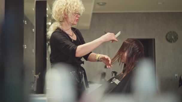 美容師は高級美容室でハサミで髪を切っています 女の子の外観 ライフスタイル 化粧品の手順を世話しています 高品質の4K映像 — ストック動画