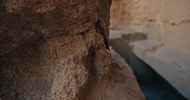 Pas Înapoi Timp Descoperirea Istoriei Antice Comorilor Arheologice Ale Mormântului — Videoclip de stoc