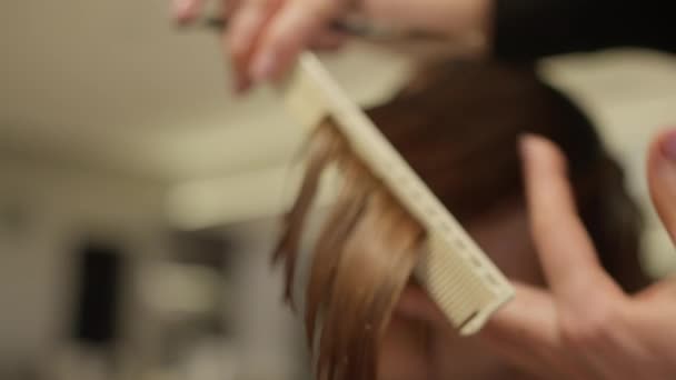 美容師のクローズアップは 櫛で髪を引っ張り ハサミでカットします 美容室のプロによる女性のヘアカット 高品質の4K映像 動画クリップ