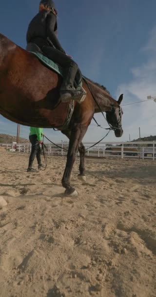 Uma Adolescente Aprende Andar Cavalo Treinamento Cuidar Belos Cavalos Imagens — Vídeo de Stock