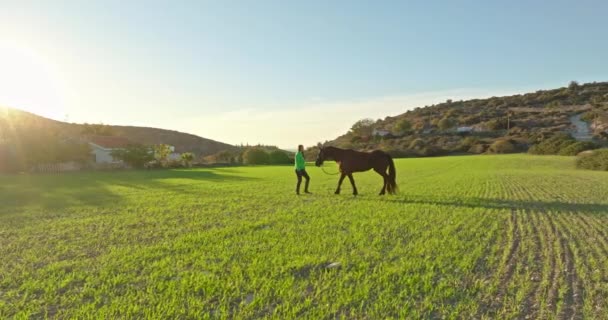 Серьезность Полете Воздушный Вид Женщины Лошади Гуляющих Ранчо Пример Заботы — стоковое видео