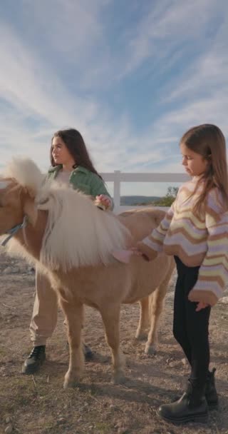 Természet Felfedezése Gazdaságban Gyerekek Szórakoztatóan Gondoskodnak Állatokról Lányok Kislovat Simogatnak — Stock videók