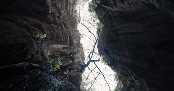 塞浦路斯Avakasi峡谷的景观 峡谷的美丽自然是岛上的一个旅游胜地 高质量的4K镜头 — 图库视频影像