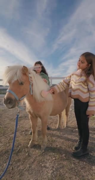 Farm Adventures Happy Children Lányok Mosolygós Miközben Vigyáz Állatok Simogatás — Stock videók