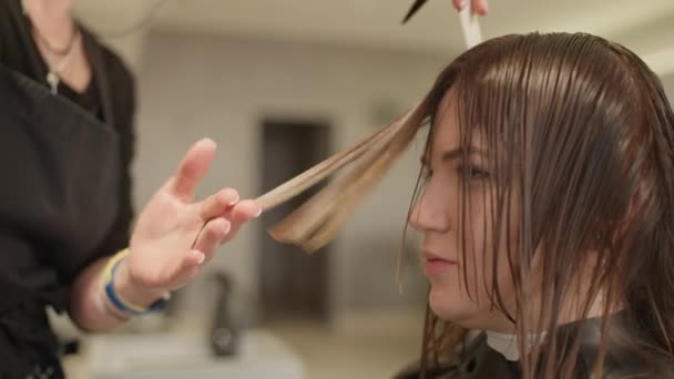 Profesjonalny Fryzjer Pomocą Nożyczek Cięcia Stylizacji Włosów Dla Pięknej Europejskiej — Wideo stockowe