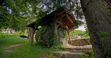 Hobbitlerin evinin manzarası güzel çalılarla kaplıdır. Yüksek kalite 4k görüntü