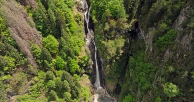 Dolomite Alplerindeki Serene Şelalesinin Muhteşem Drone Görüntüsü: Ormanda Nehir Akışı. Yüksek kalite 4k görüntü