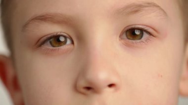 6 yaşında bir çocukta kahverengi gözlü çocukların yakın çekimi var. Çocuğun güzel gözleri var. Yüksek kalite 4k görüntü