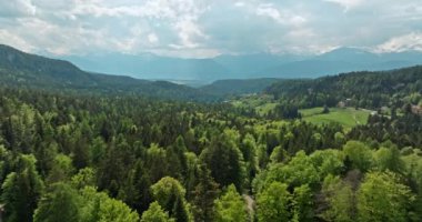 İtalya 'daki Dolomite Alpleri' nin ormanlarının havadan görünüşü. Dağların zirveleri, tepeleri ve yamaçlarında büyüyen ağaçlarıyla doğanın güzel bir manzarası. Yüksek kalite 4k görüntü