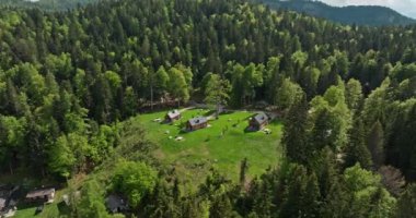 Manzaralı Mendola Çekimi, İtalya Alp Köyü Dolomitlerin Orman yamaçlarında. Yüksek kalite 4k görüntü