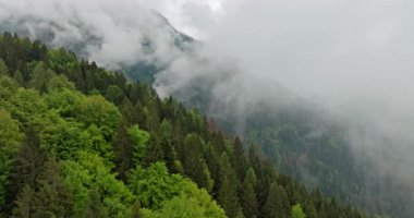 Dolomite Alpleri Üzerindeki İlkbahar Bulutları: Alp Ormanları ve Dağ Manzaraları Hava Manzarası. Yüksek kalite 4k görüntü