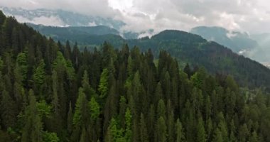 İlkbaharda Dolomite Alpleri: İtalya 'daki Bulutlu Dağlar ve Bereketli Ormanlar' ın Hava Perspektifi. Yüksek kalite 4k görüntü