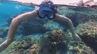 Gözlüklü bir kız denizin altında yüzüyor ve resifleri inceliyor. Şnorkelle yüzmek ve okyanusta dinlenmek. Yüksek kalite 4k görüntü