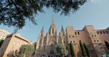 Santa Cruz Katedrali ve Santa Eulalia Barselona. Katalonya İspanya 'nın turistik kentsel manzarasındaki tarihi gotik katedralin güzel mimarisi. Yüksek kalite 4k görüntü