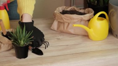 Yakın plan kadınların elleri kapalı alandaki bitkilere saksı dikiyor başka bir saksıya saksı dikiyor ve kapalı alandaki bitkilere yeni bir hayat veriyor. Garson çiçek saksılarıyla ilgilenir.