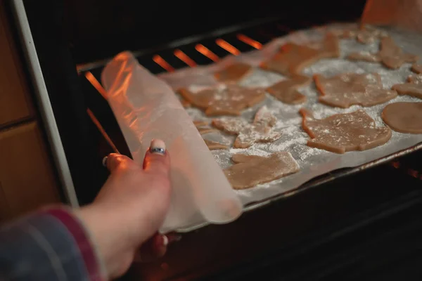 Woman Puts Oven Bake Christmas Cookies Raw Dough Molds Christmas — Stock Photo, Image