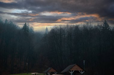 recreation area in the mountains, tall trees, mountains, at night