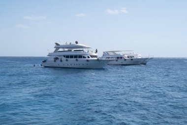 Beautiful white private motor yacht for a boat trip on the Red Sea, Panoramic view of the Red Sea, coral reef and moored pleasure boats. Blue and white seascape, white boats and clear blue water with cloudy blue sky, snorkeling boats