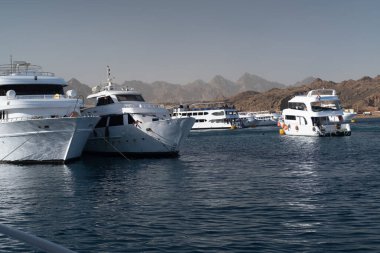 Beautiful white private motor yacht for a boat trip on the Red Sea, Panoramic view of the Red Sea, coral reef and moored pleasure boats. Blue and white seascape, white boats and clear blue water with cloudy blue sky, snorkeling boats