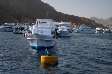 Beautiful white private motor yacht for a boat trip on the Red Sea, Panoramic view of the Red Sea, coral reef and moored pleasure boats. Blue and white seascape, white boats and clear blue water with cloudy blue sky, snorkeling boats