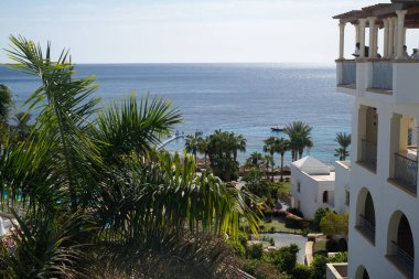 Sunny resort beach with palm trees on the Red Sea coast in Sharm El Sheikh, Egypt, Asia in summer, bright sunny day