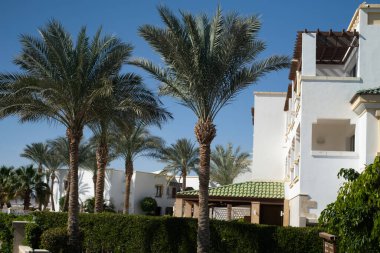 Palm trees against white home by the beach with blue sky and sand