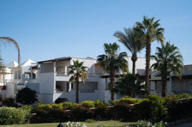 Palm trees against white home by the beach with blue sky and sand