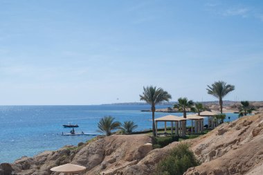 Green palm tree in front of white rocks, blue sea and sky