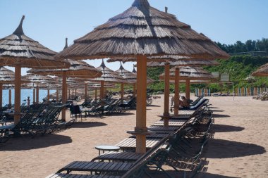 Relax under an umbrella on the beach of the Red Sea, Egypt