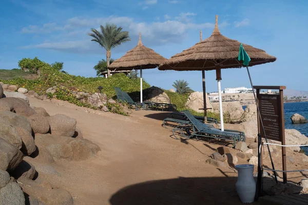 Relax Umbrella Beach Red Sea Egypt — Foto de Stock