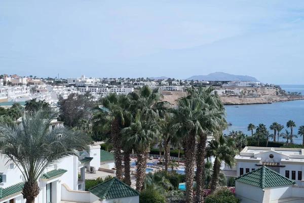 stock image Sunny resort beach with palm trees on the Red Sea coast in Sharm El Sheikh, Egypt, Asia in summer, bright sunny day