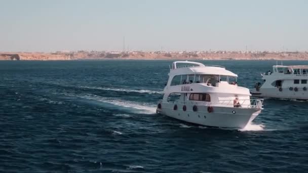 Large White Yacht Sailing Blue Sea Sunny Day Side View — стокове відео
