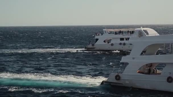 Mısır Sharm Sheikh Şubat 2023 Güneşli Bir Günde Mavi Denizde — Stok video