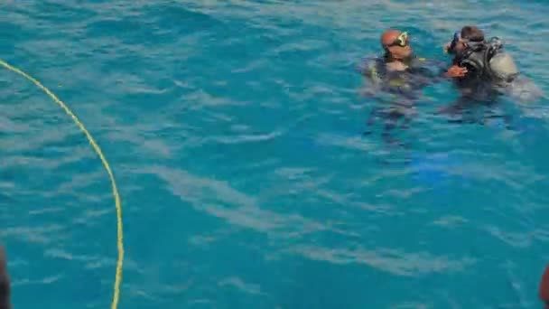 Egypt Sharm Sheikh Лютого 2023 Інструктор Плаває Людьми Червоному Морі — стокове відео