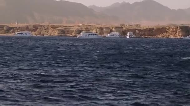 Mısırdaki Denizden Kızıl Denize Sina Dağlarına — Stok video