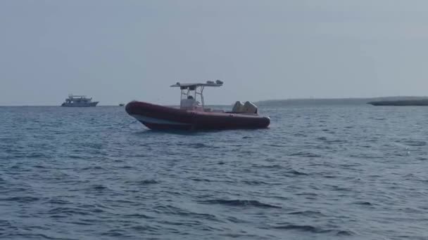 Білий Приємний Човен Плаває Високій Швидкості Червоному Морі Літній День — стокове відео