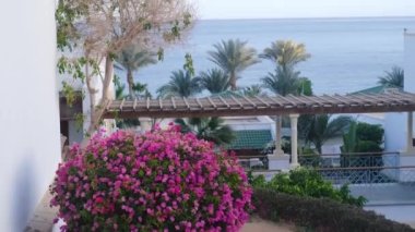 güzel beyaz mısır otelin mimarisi bina