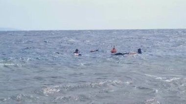 Bir grup insan kızıl denizde şnorkelle yüzmeye gidiyor.