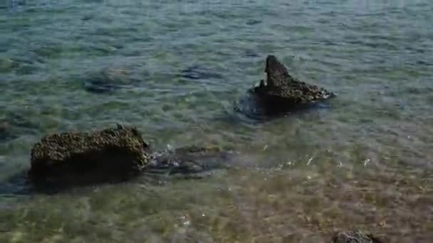 Deniz Fırtınası Deniz Dalgaları Kıyı Şeridindeki Kayalıklarda Patlıyor Deniz Sörfü — Stok video