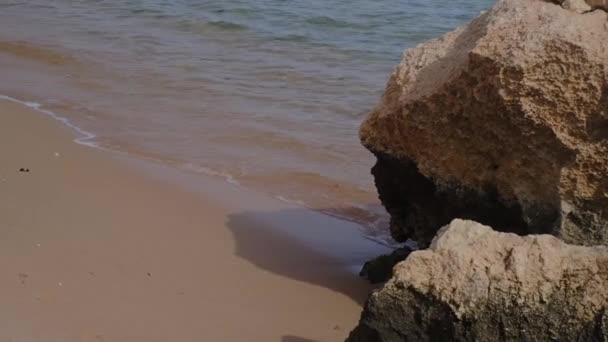 Praia Tropical Com Guarda Sóis Mar Vermelho Perto Recife Coral — Vídeo de Stock